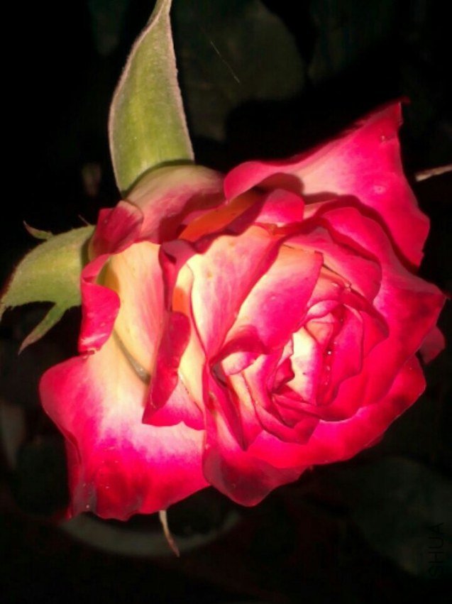 IMG_20130423_233610.jpg
