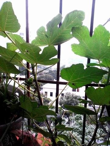 ������С �����ع� 2013-05-06_16-49-37_269.jpg
