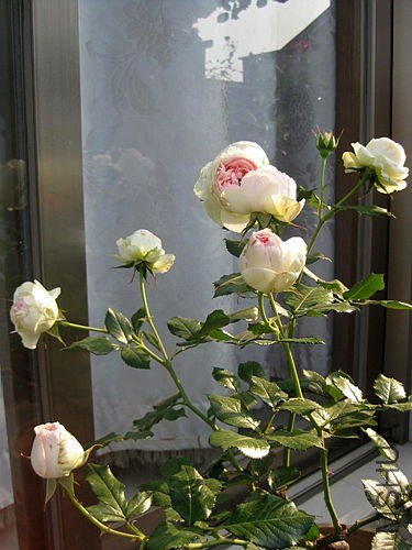 �¼��� 748.jpg