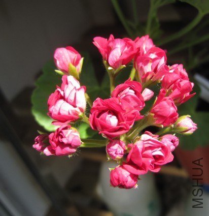 ���� �ٻ�����.jpg