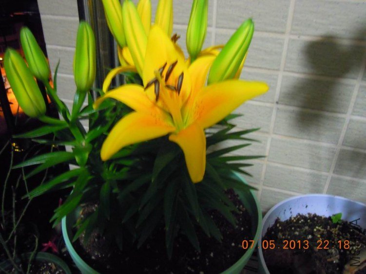 DSCN1061.JPG
