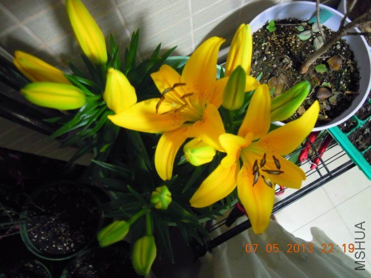 DSCN1062.JPG