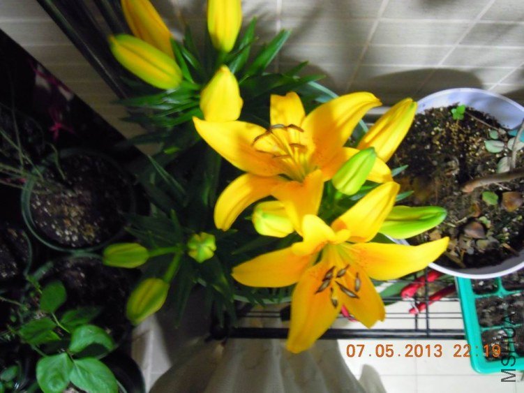DSCN1063.JPG