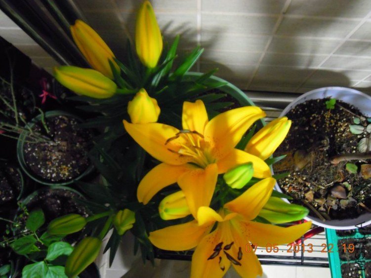 DSCN1064.JPG