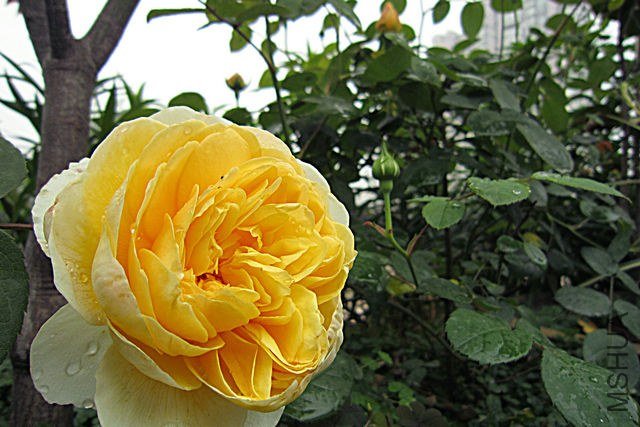 ���������ػ��Ƿ����ط��ˣ�