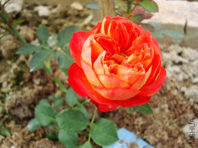 �ٱ���043.jpg