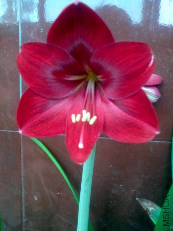 image004.jpg