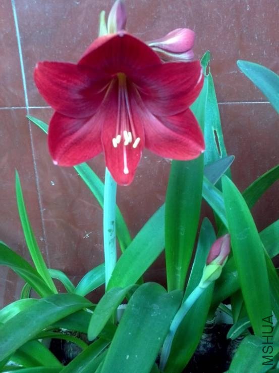 image008.jpg