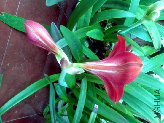 image010.jpg
