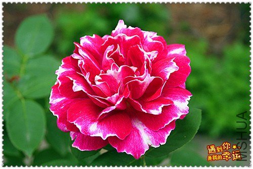 ��Ƭ 177_����.jpg