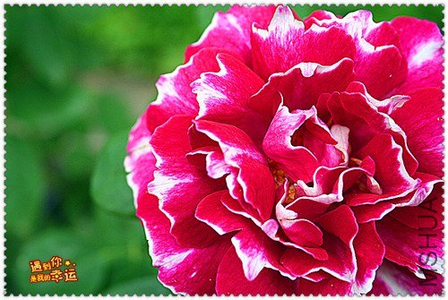 ��Ƭ 182_����.jpg