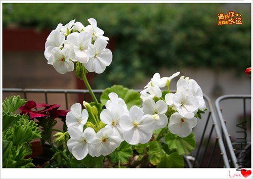 ��Ƭ 153_����.jpg