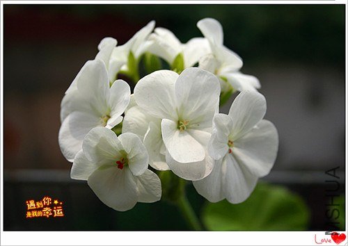 ��Ƭ 156_����.jpg