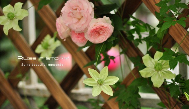 garden30.jpg