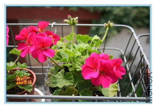 ��Ƭ 149_����.jpg