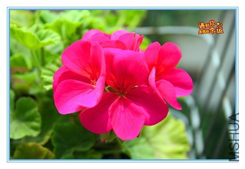 ��Ƭ 150_����.jpg