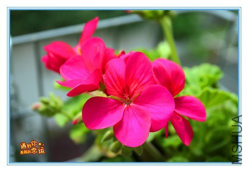 ��Ƭ 151_����.jpg