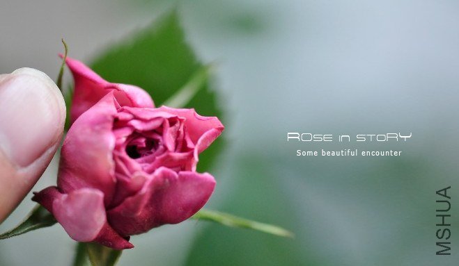 Forbidden Parfum1.jpg