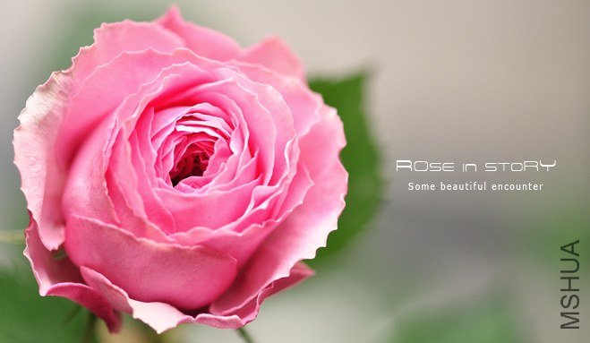 Forbidden Parfum2.jpg