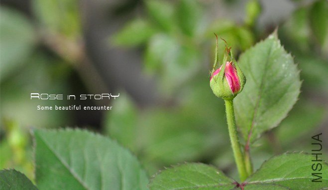 Forbidden Parfum.jpg