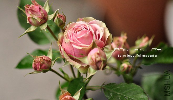 romantic eden 11.jpg