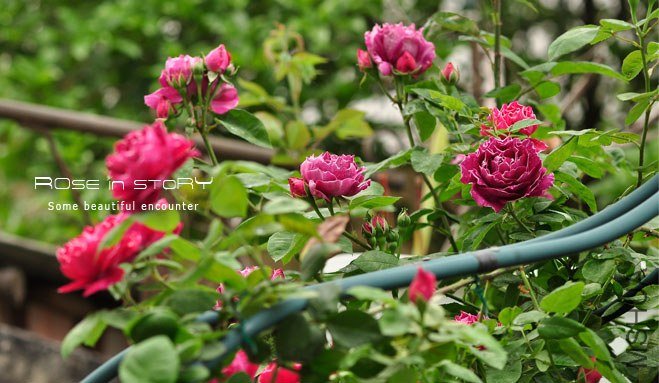 Baron Girod de l Ain (2).jpg