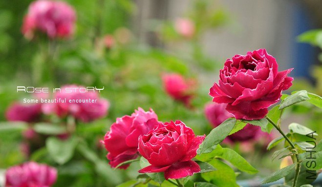 Baron Girod de l Ain (3).jpg