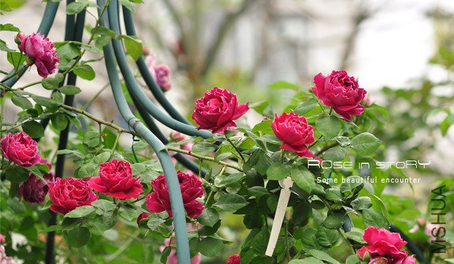 Baron Girod de l Ain (4).jpg