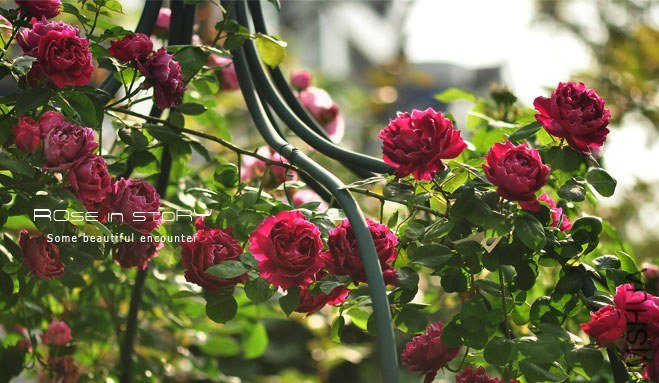 Baron Girod de l Ain9.jpg