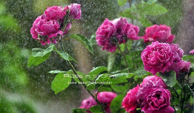 Baron Girod de l Ain10.jpg