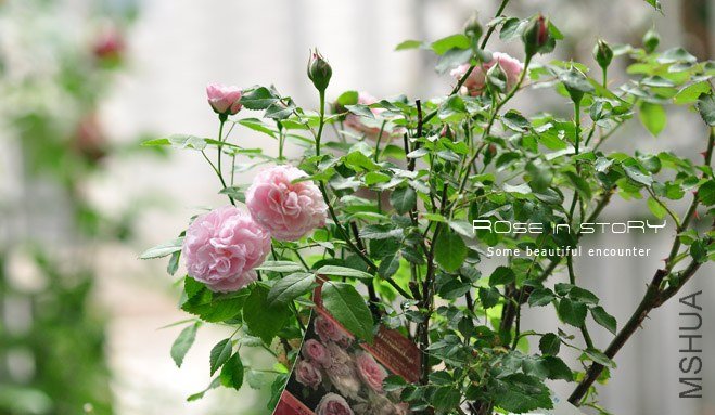 ����С· (2).jpg