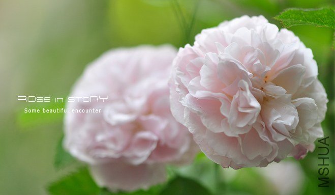 ����С·1 (2).jpg