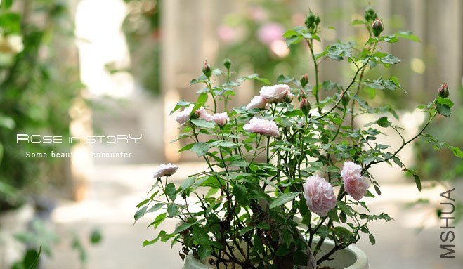 ����С·2 (2).jpg