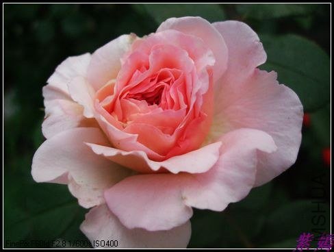 DSCF3479.jpg