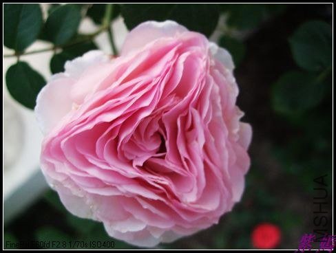 DSCF3533.jpg