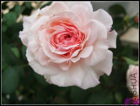 DSCF3542.jpg