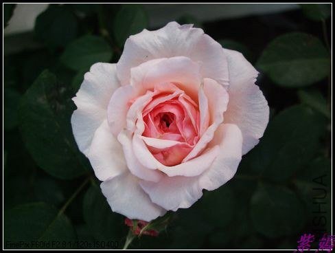 DSCF3535.jpg
