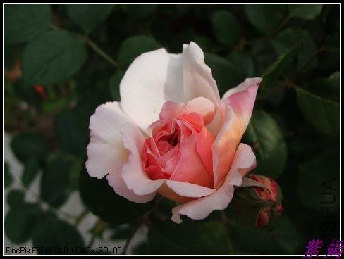 DSCF3543.jpg
