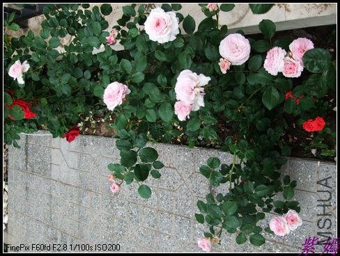 DSCF3578.jpg