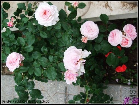 DSCF3581.jpg