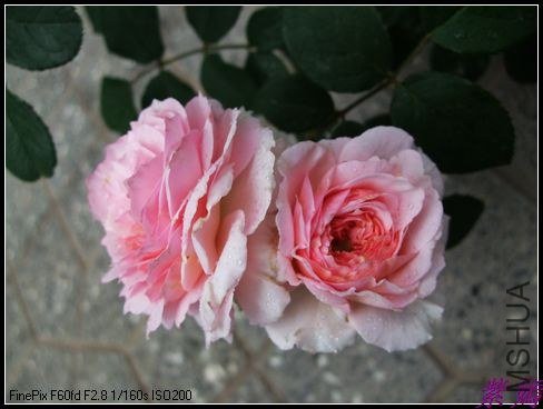 DSCF3589.jpg