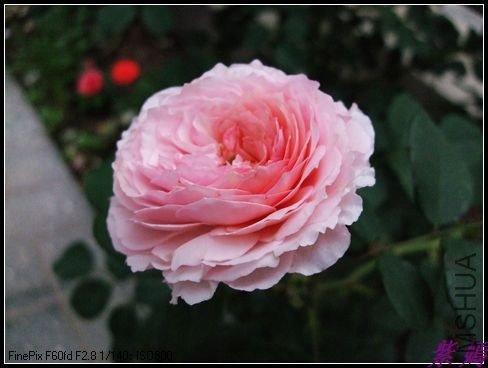 DSCF3605.jpg