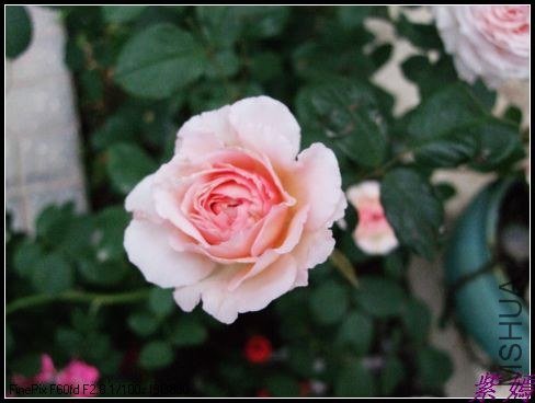 DSCF3616.jpg