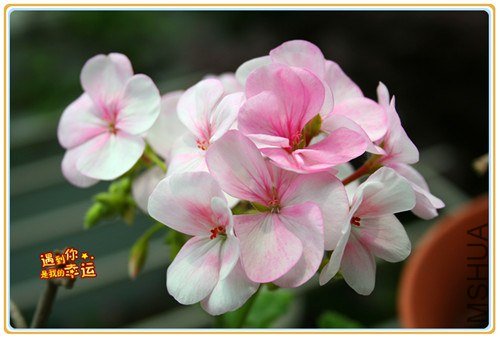 ��Ƭ 158_����.jpg