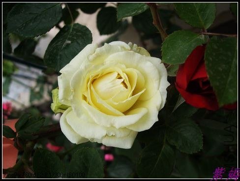 DSCF3463.jpg