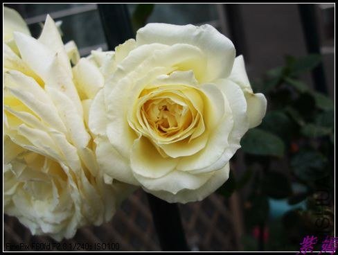 DSCF3476.jpg