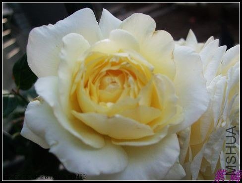 DSCF3506.jpg