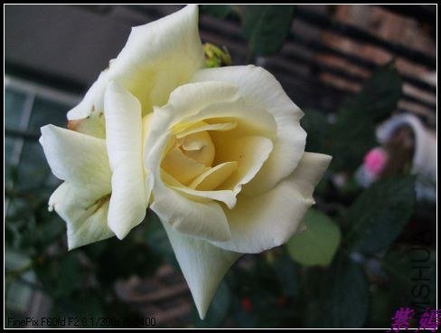 DSCF3512.jpg