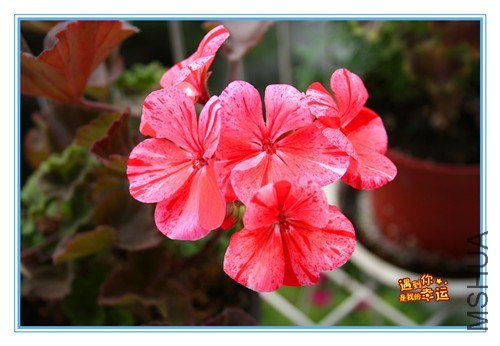 ��Ƭ 160_����.jpg