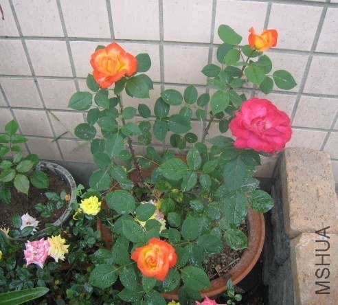 QQͼƬ20130508150020.jpg